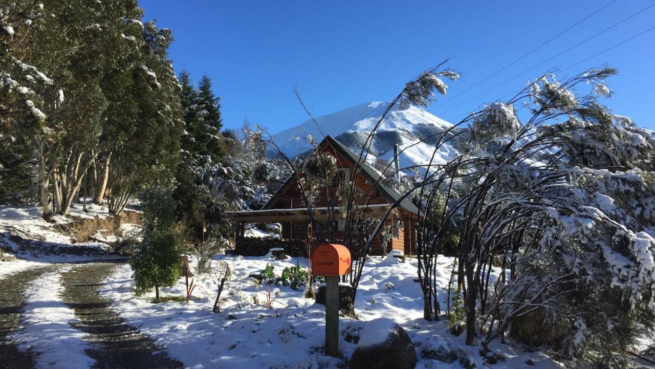 Mt Lyford Holiday Homes Extérieur photo